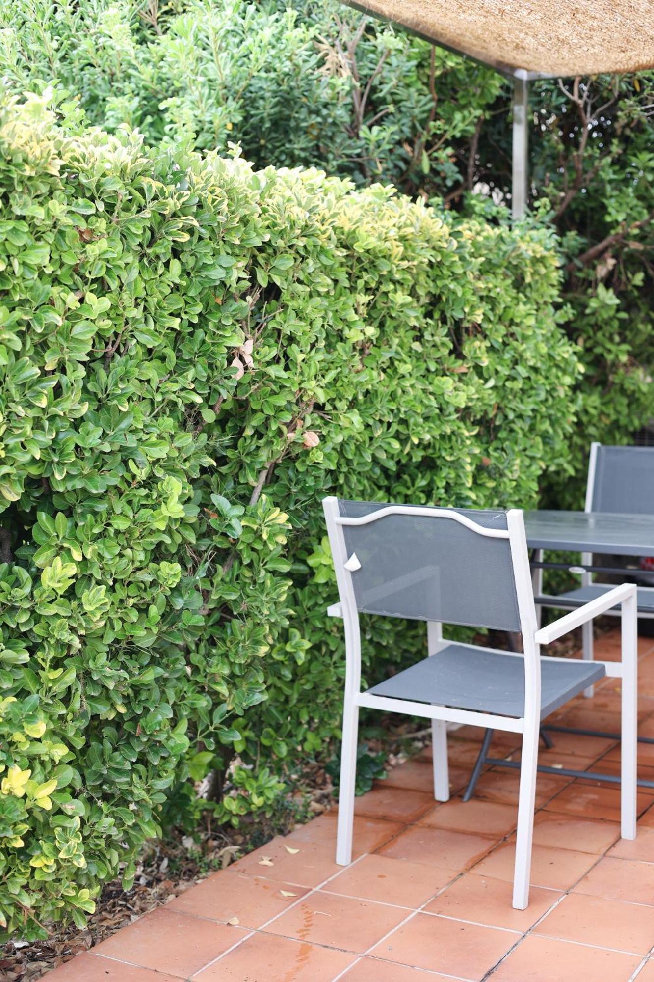 Marina Di Fautea Apartamento Olmucciu Quarto foto